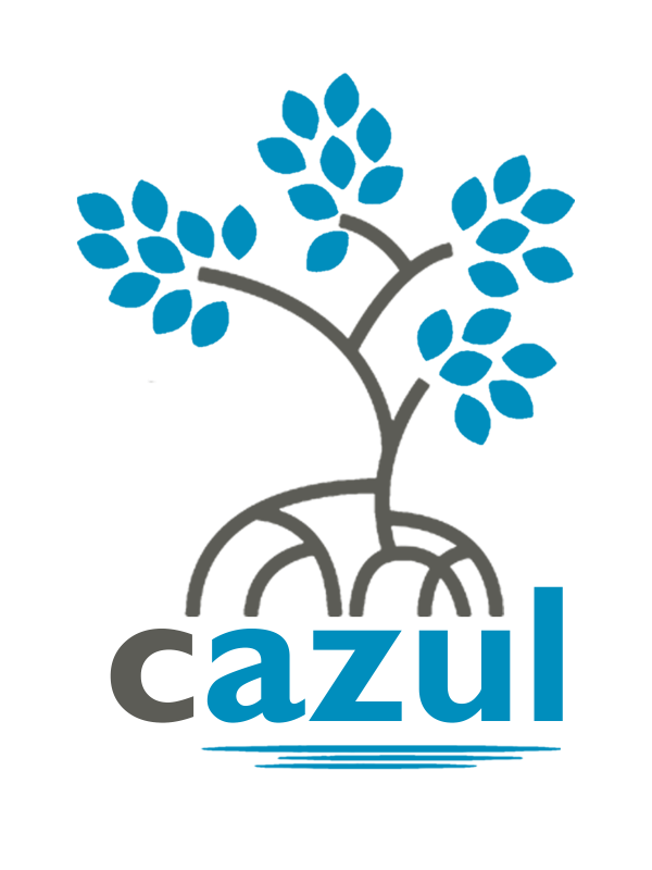 Logo colorida vertical do projeto Cazul