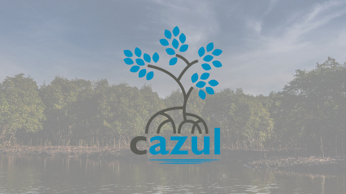 Cazul