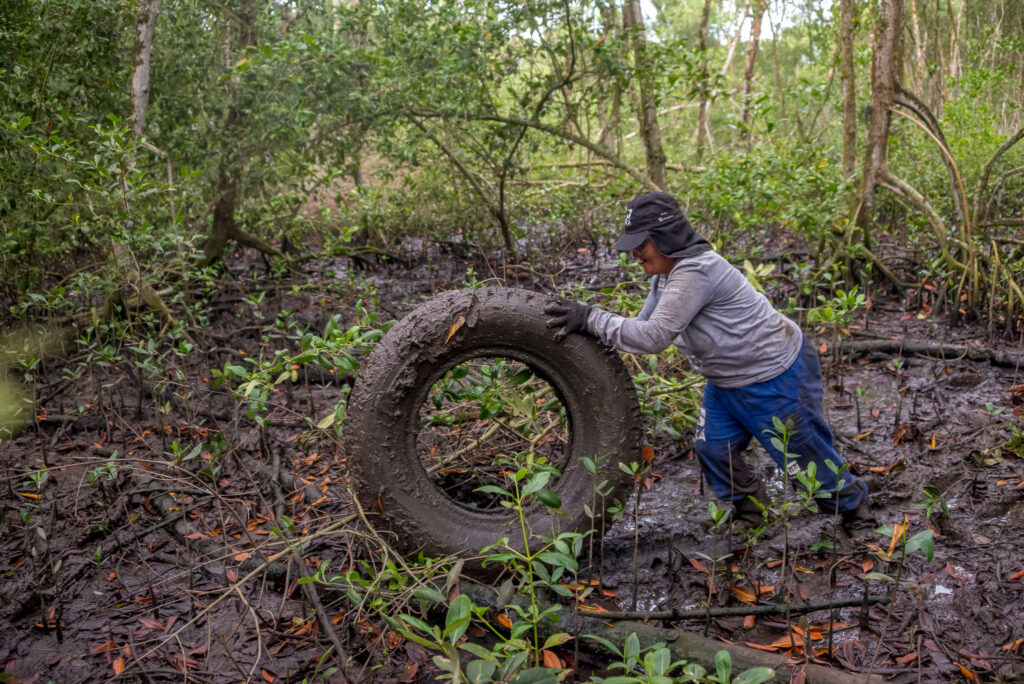 Mulher retira pneu de caminhão em área de manguezal, projeto Uçá