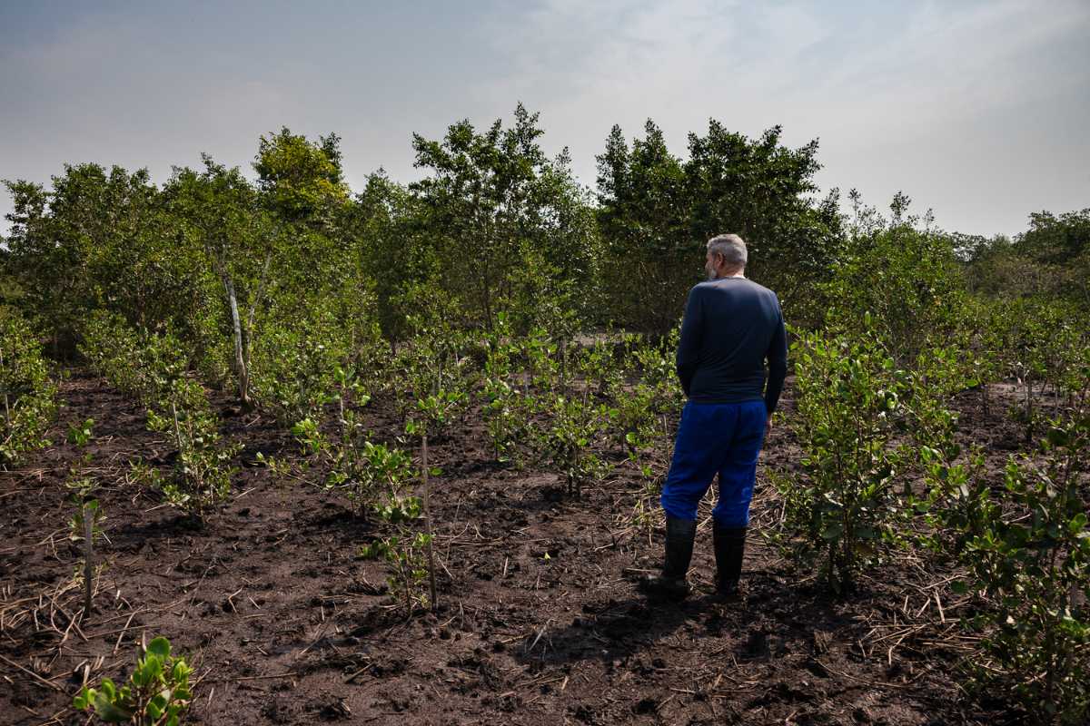 Pesquisa e Desenvolvimento (P&D)