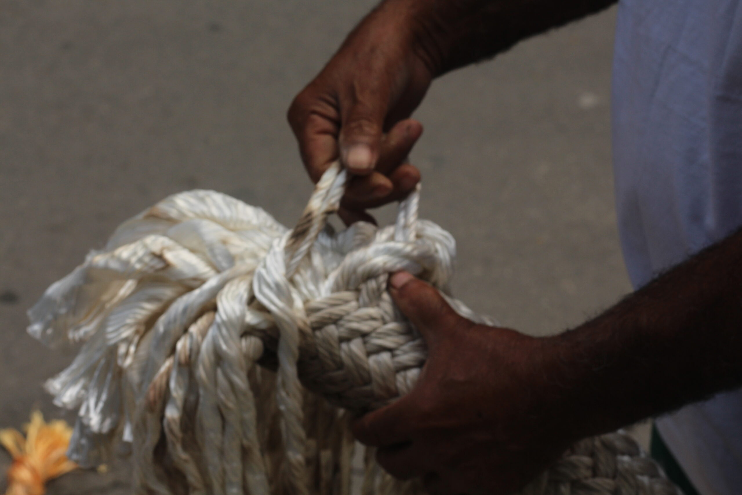 A ONG Guardiões do Mar convida escolas e comunidades a mergulhar nos saberes do mangue na exposição Manguezal, no CCBB Rio